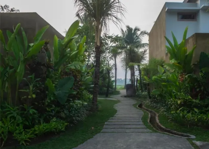 The Kanjeng & - Bali